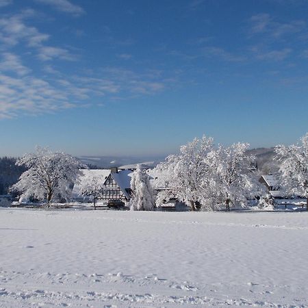 Berghotel Lenneplaetze Winterberg Zewnętrze zdjęcie