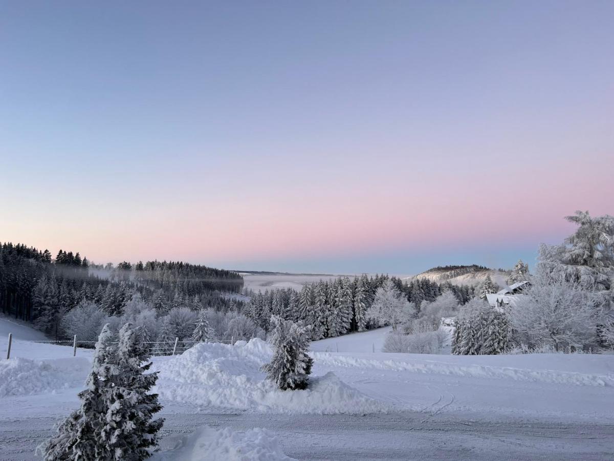 Berghotel Lenneplaetze Winterberg Zewnętrze zdjęcie