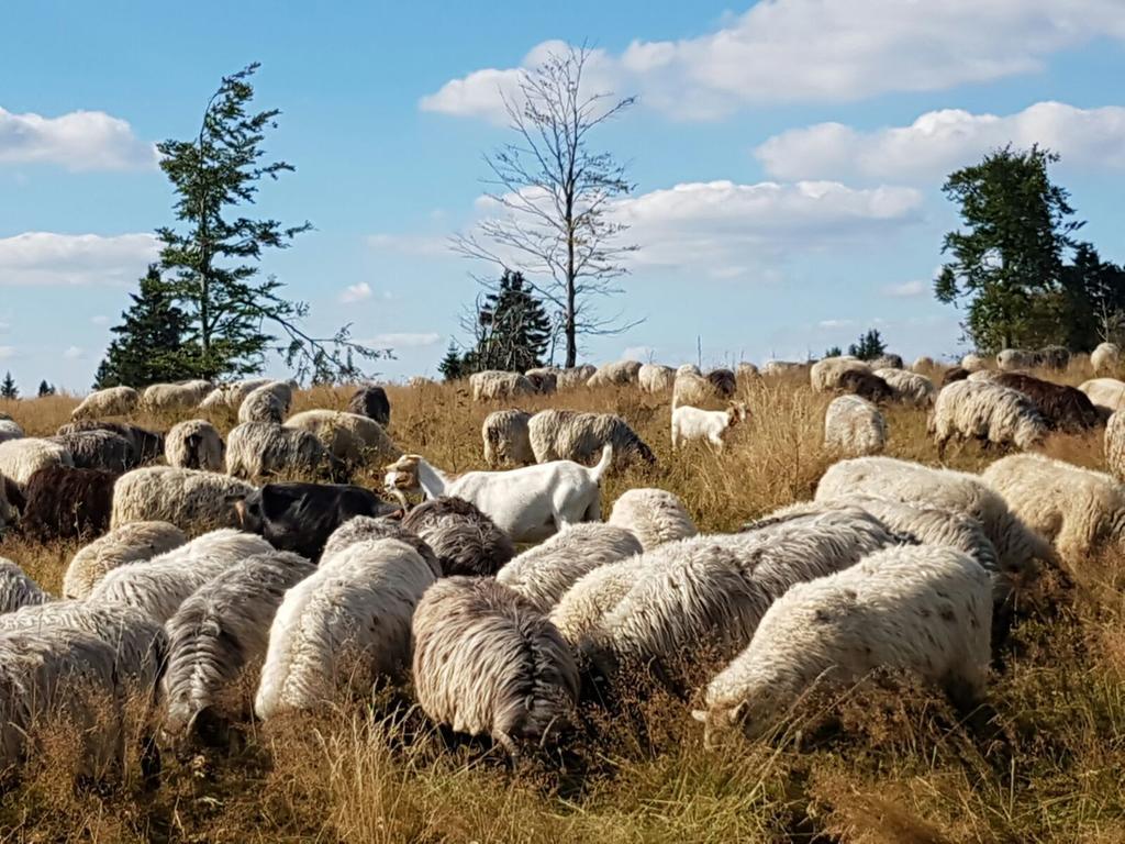 Berghotel Lenneplaetze Winterberg Zewnętrze zdjęcie