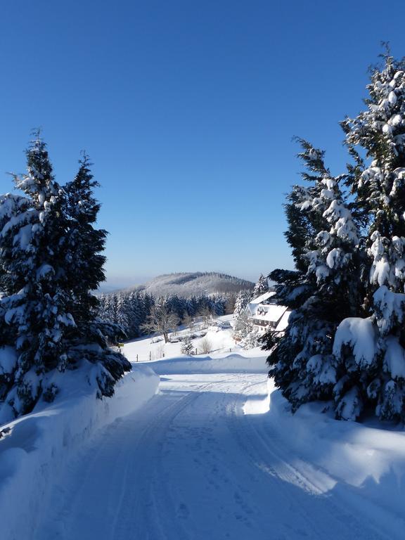Berghotel Lenneplaetze Winterberg Zewnętrze zdjęcie